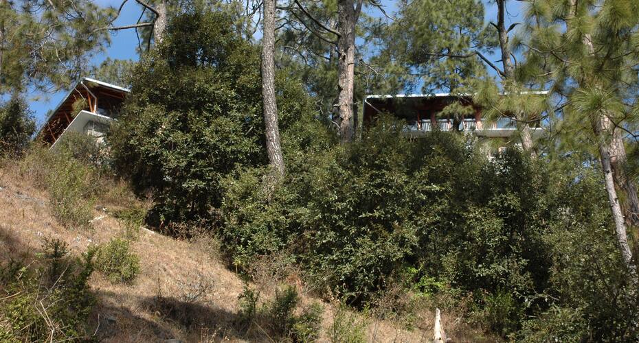 AyurVAID: Kalmatia- AM Hotel Kollection, Almora 2
