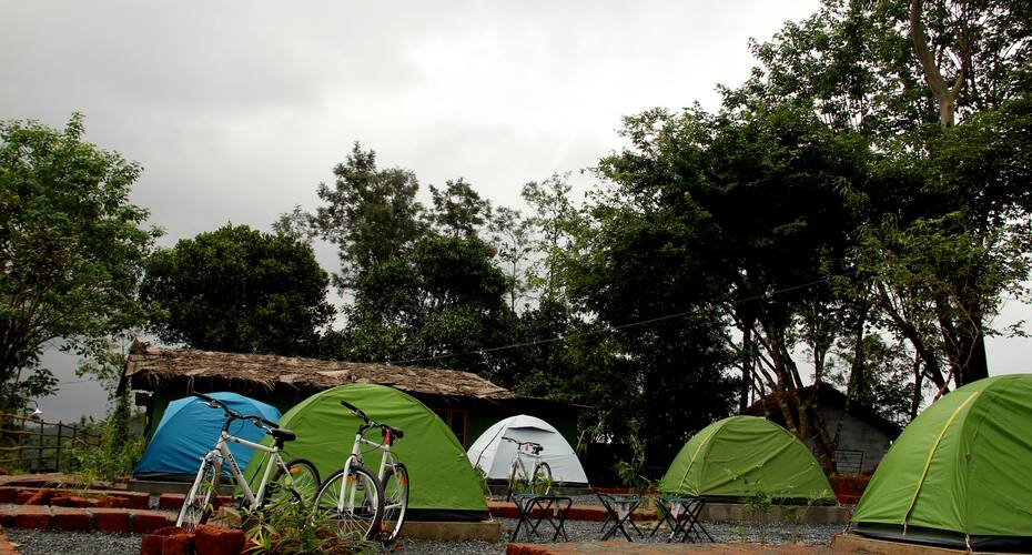 Jungle Edge Resort, Wayanad 5