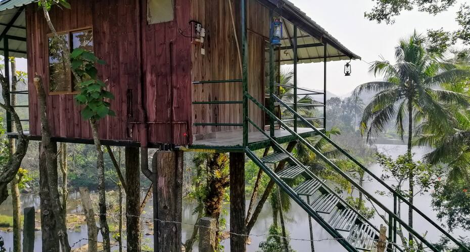 Noah's Nest Tree House, Thekkady 2