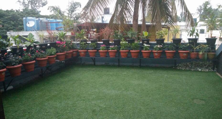 Woods Inn, Bangalore 2