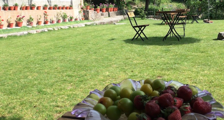 Abbotsford Lodge, Nainital 5