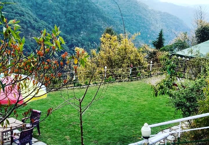 Nature Drops Pangot Nainital Price Reviews Photos Address Pangot also becomes a hub for photography enthusiasts when hundreds of different species of birds flock here during the harsh winters in the upper himalayas and settle down here temporarily. nature drops pangot nainital price