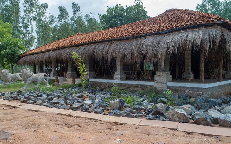 Tendu Leaf Jungle Resort, Panna 3