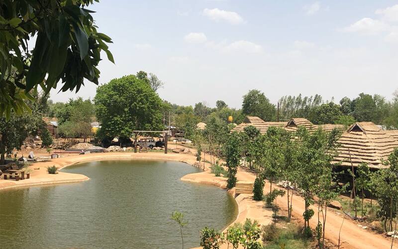 Tendu Leaf Jungle Resort, Panna 4