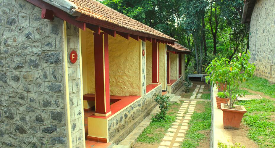 The Last Shola, Yercaud 1