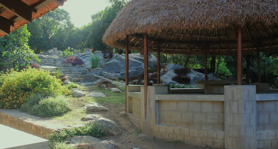 The Last Shola, Yercaud 3