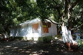 The Brooke Ville, Sasan Gir 5