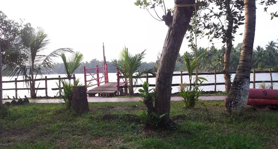 Mangrove Island, Kochi 3