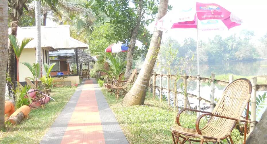Mangrove Island, Kochi 4