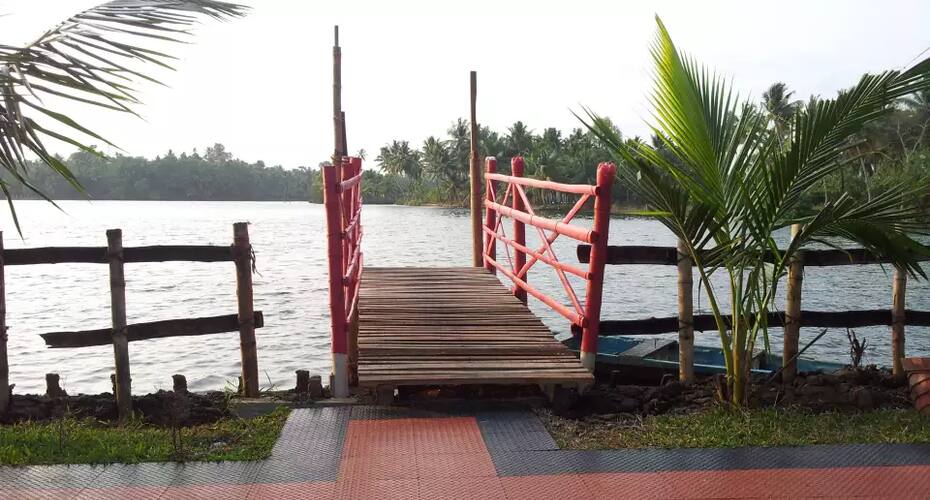 Mangrove Island, Kochi 5