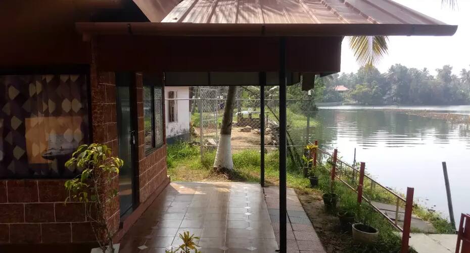 Mangrove Island, Kochi 1