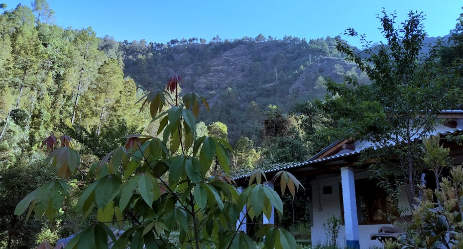 Keith's Riverside Cottages, Mukteshwar 5