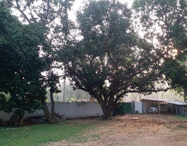 Suhasita Resort_, Ghatshila 3