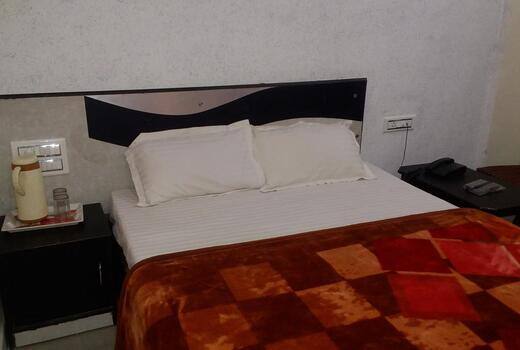 Hotel Anupam, Udaipur 4
