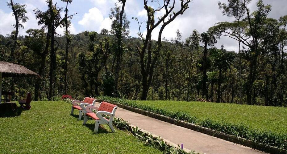 Moon Mist Home Stay, Chikmaglur 5