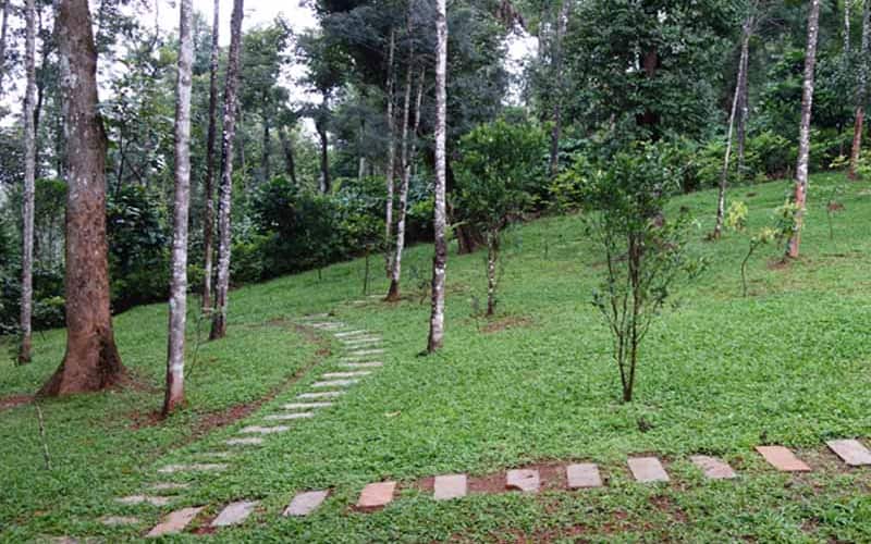 Woody Woods Homestay, Coorg 1