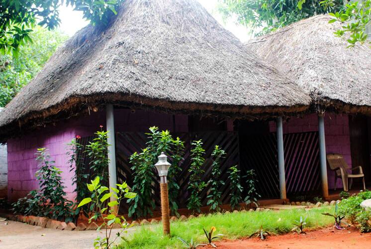 Auro Resort, Pondicherry 2