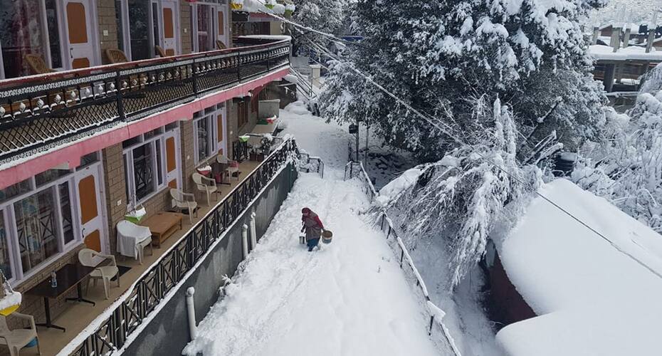 Hotel Lilly Inn & Cafe, Manali 3