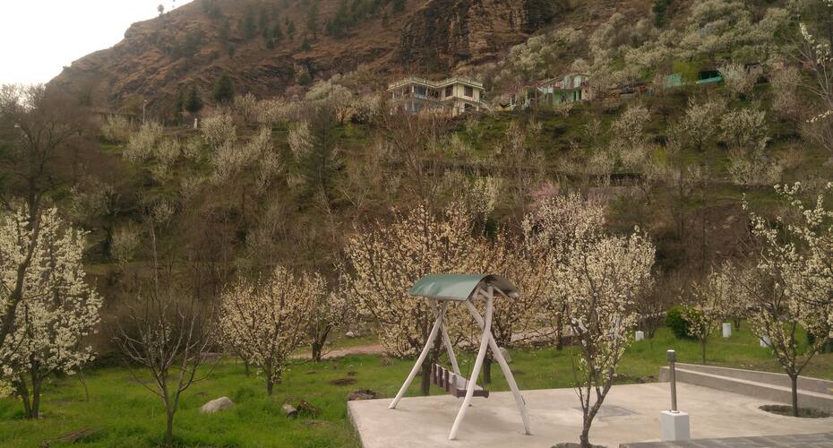 Silver Streak Cottage, Manali 5