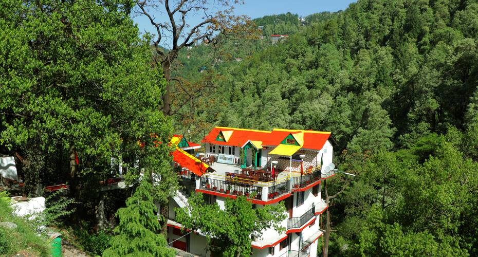 Pax Woodline Regency, Dalhousie 2