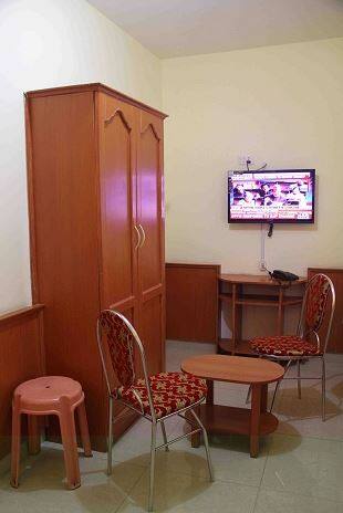 The Hornbill Residency, Ooty 5