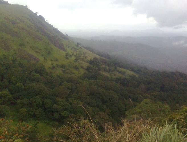 Green Mountain Resorts & Tree House, Munnar 4