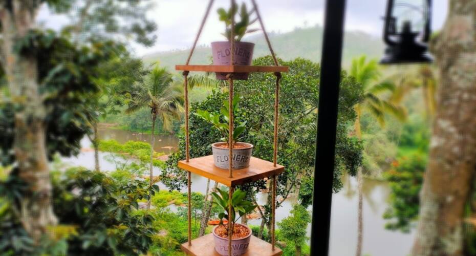 Noah's Nest Tree House, Thekkady 5