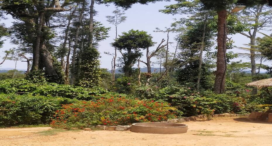 Home Cozy Estate Stay, Madikeri 4