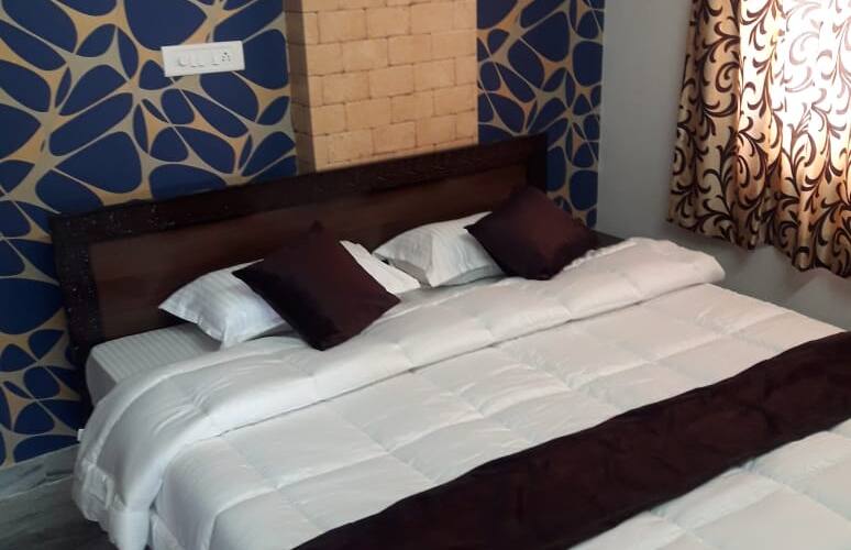 HOTEL Vihaa Palace, Udaipur 3