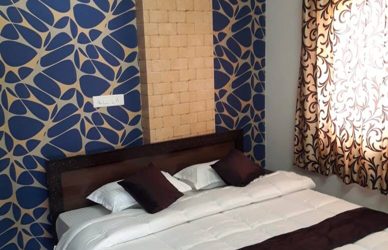 HOTEL Vihaa Palace, Udaipur 4