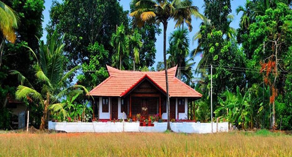 Top Yard Heritage, Alleppey 4