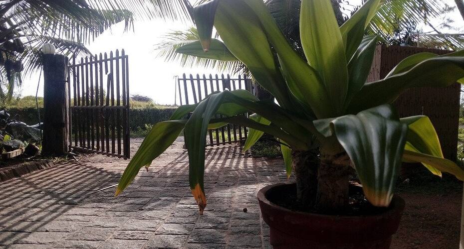 Sun Villa Beach House, Kannur 2