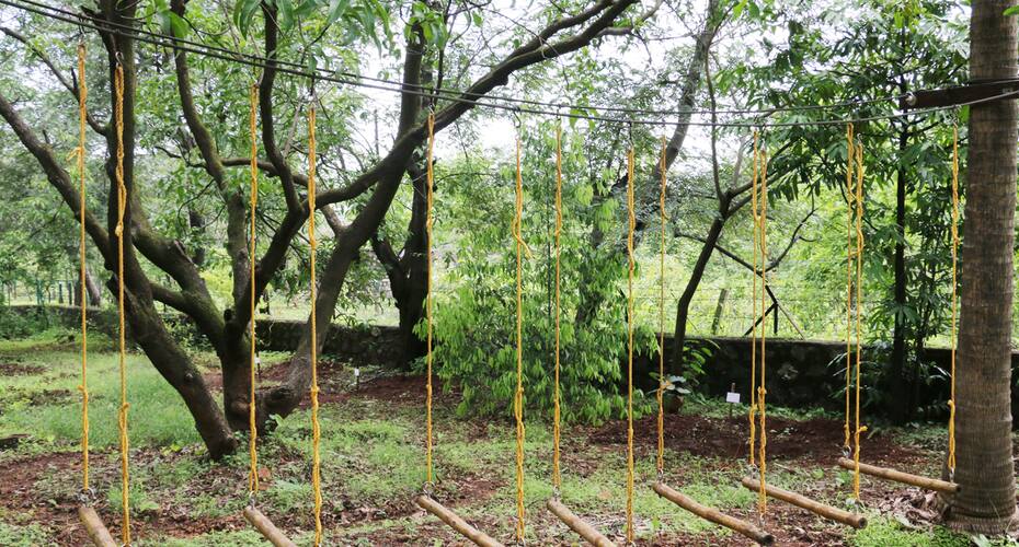 Swaraj Farm, Karjat 3