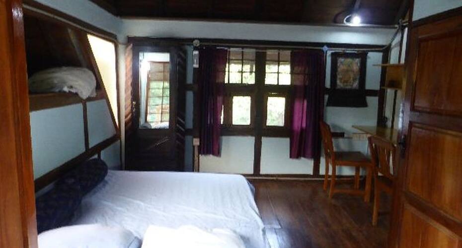 Bird Forest Homestay, Pondicherry 3