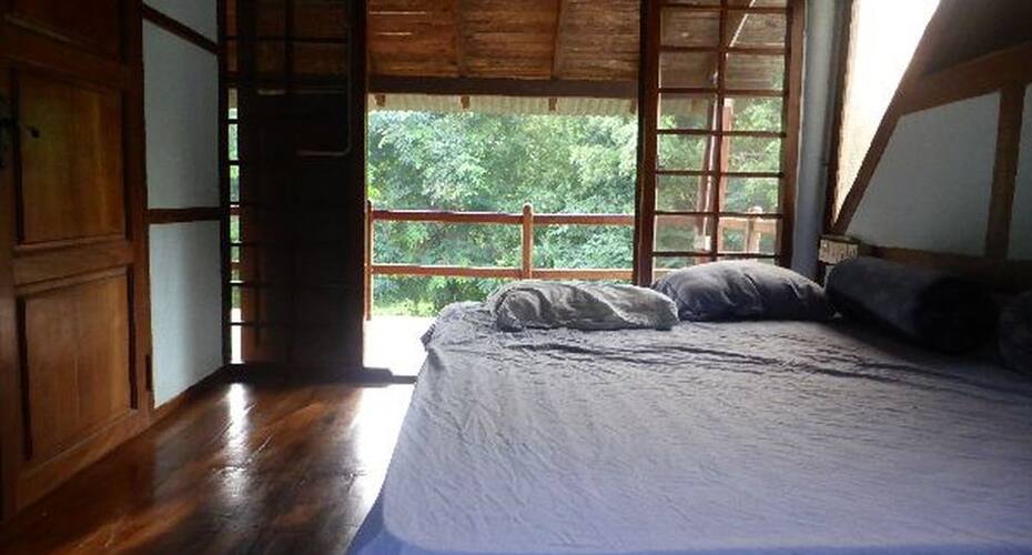 Bird Forest Homestay, Pondicherry 4