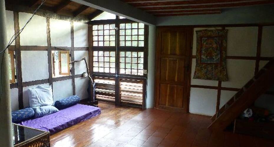 Bird Forest Homestay, Pondicherry 5