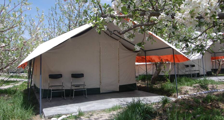 Apple Orchard Farm And Camping, Sangla 2