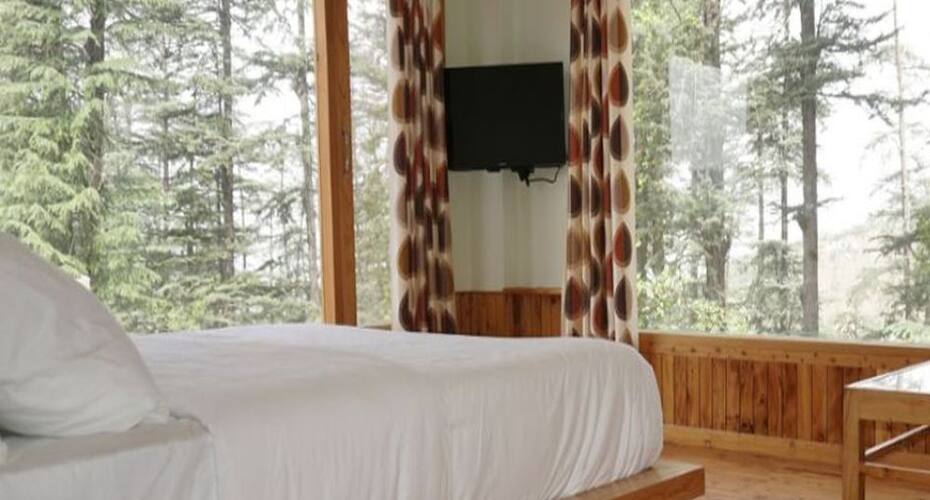 Green Chaklu Home Stay, Shimla 2