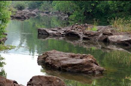 Harithavanam Farmer Resort, Thekkady 3