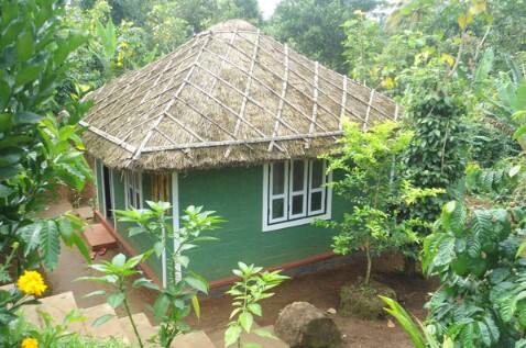 Harithavanam Farmer Resort, Thekkady 1
