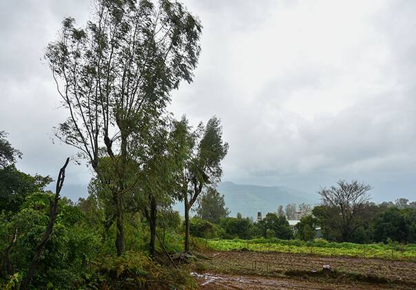 Hotel Green Spring, Mahabaleshwar 4