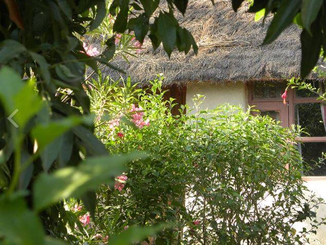 Jaagar- The Village Resort, Ramnagar 3