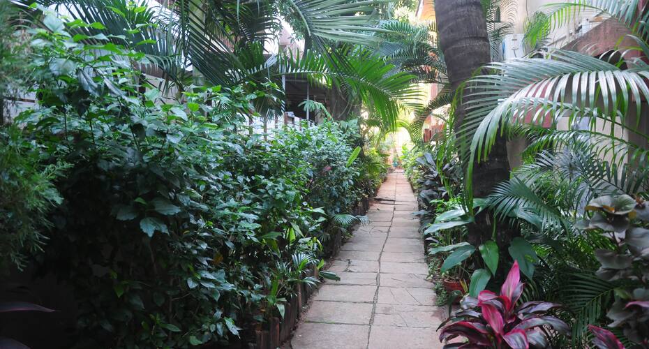 Sun Stay Beach Resort, Goa 4