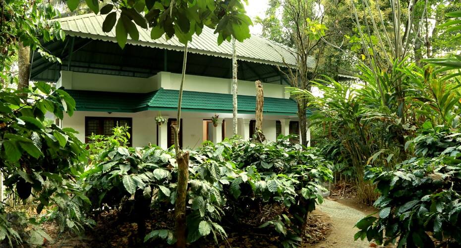 Nature Cool Villas, Munnar 2
