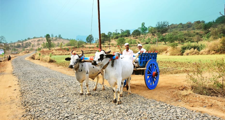 Bimal Farm, Nashik 2
