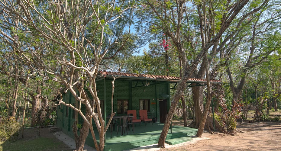 Bamboo Banks Farm & Guest House, Masinagudi 5