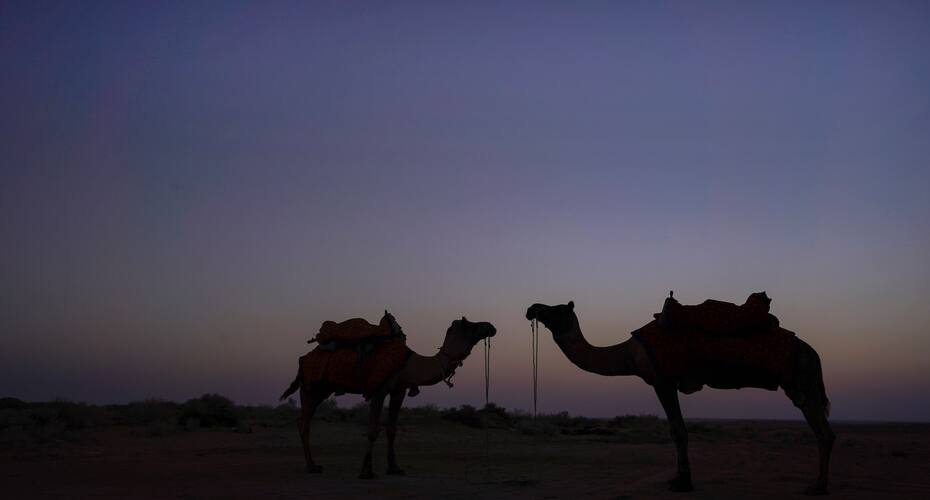 Treebo Trend Desert Boutique Resort, Jaisalmer 3