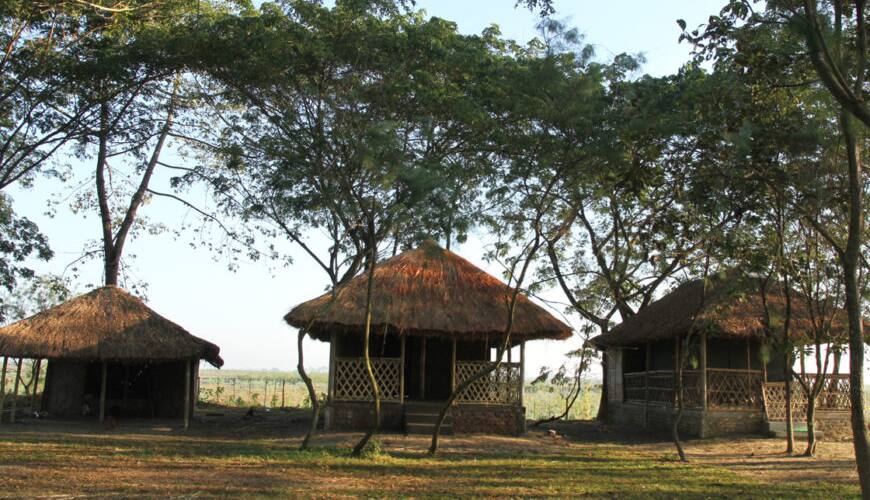 Dhansiri Eco Camp, Bokakhat 3