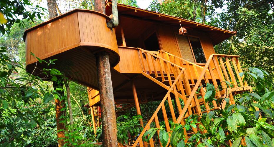 Planet Green Plantation Resorts, Wayanad 1