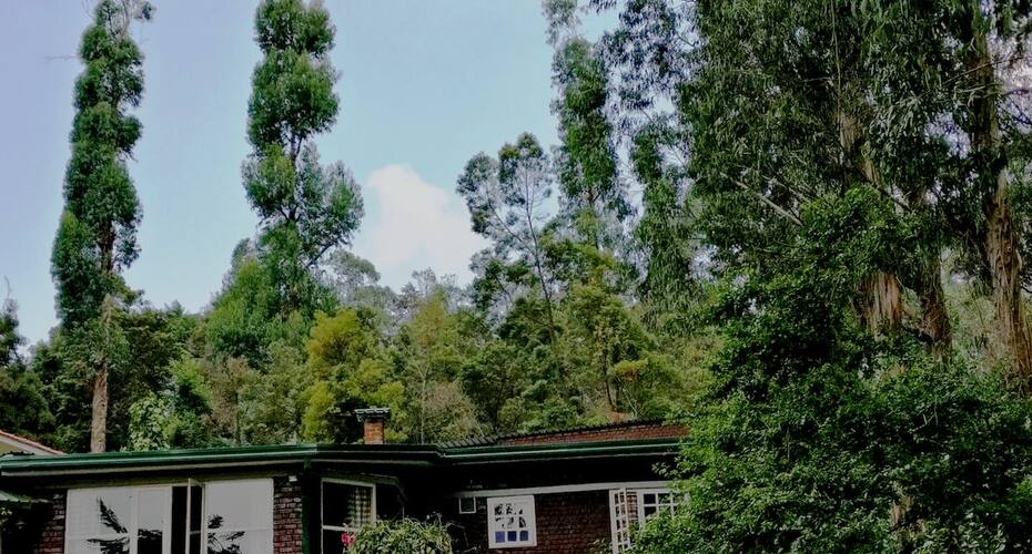 Jacaranda Villa, Kodaikanal 2